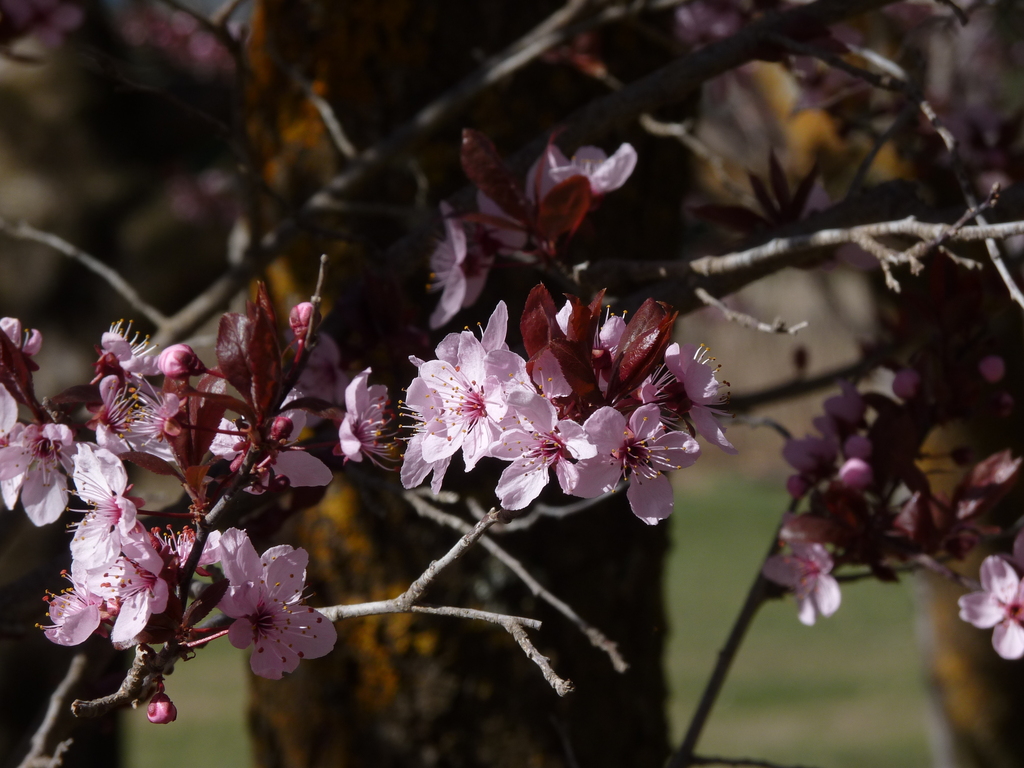 No s'ha trobat l'arxiu